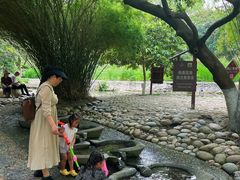 -成都市活水公园