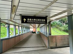 -香港大学