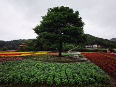 -广州市石门国家森林公园