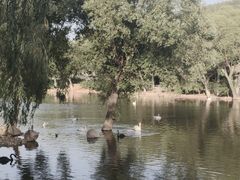 -石家庄市动物园