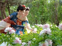 -太阳宫公园