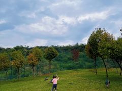 -世界恐龙谷景区