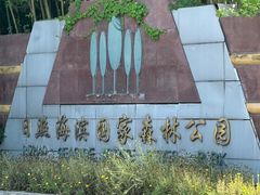 -日照海滨国家森林公园