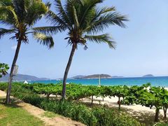 -三亚亚龙湾天域度假酒店