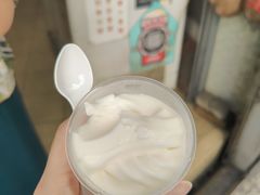 -洪馨椰子