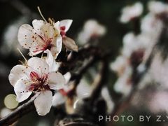 -门城湖公园