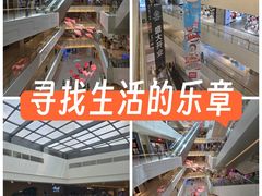 -岭南站NOVA