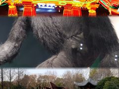 -武汉园博园(武汉自然博物馆)