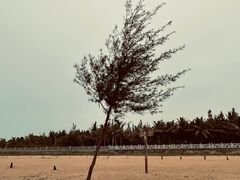 -白沙门生态公园