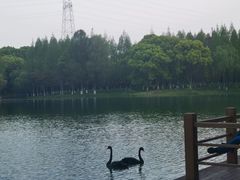 -新洲生态园