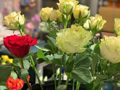 -之悦咖啡馆(新星宇·之洲店)