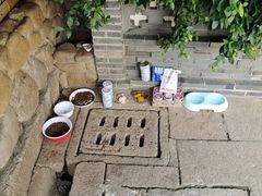 -龙华素斋(龙华路店)