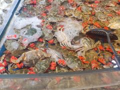 -乔哥铭洋海鲜自助(皇城恒隆广场店)