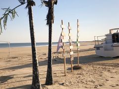 -日照海滨国家森林公园