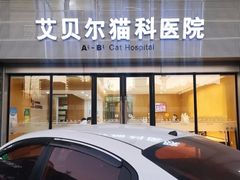 -艾贝尔宠物医院·24H转诊中心·肿瘤猫专科(江宁双龙店)