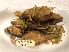 溪涧小河鱼-三清山希尔顿度假酒店·三清轩中餐厅