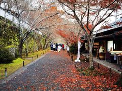 -三千院