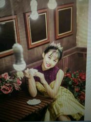 -苏菲亚婚纱影楼尊爵店(昆区店)