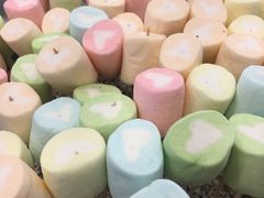 -鼎极鸳鸯锅。铁板烧-新营店
