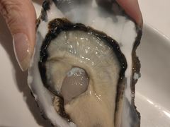 -Oyster Talks 四度蚝法餐厅