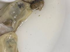 -花苑美食横琴生蚝火锅(拱北粤华路店)