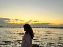 -宝安西湾红树林湿地公园