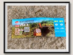 -缙云山景区