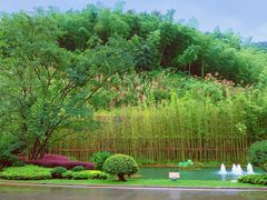 -安吉涵田度假村·水榭居中餐厅