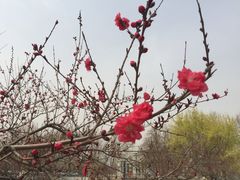 -欧韵公园