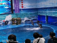 -多彩贵州城极地海洋世界