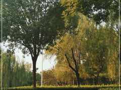 -绿堤公园