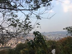 -灵岩山风景区