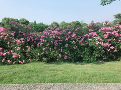 -尚贤河湿地