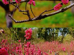 -桃花涧