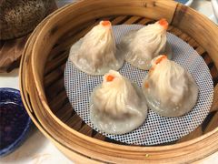 -点都德·毕德寮
