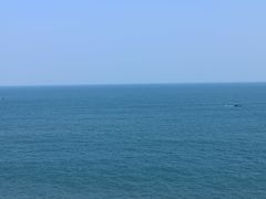-广东惠东海龟国家级自然保护区