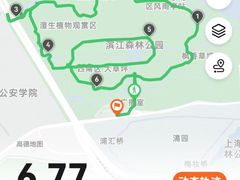 -上海滨江森林公园