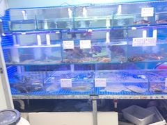 -来之顺海鲜菜馆·青岛菜·始于1993(栈桥店)