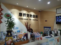 -千城康桥宠物医院·猫科·骨科·心脏