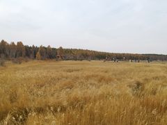 -塞罕坝国家级自然保护区