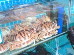 水产区-三亚相缘海鲜·烧烤·糟粕醋(三亚湾店)