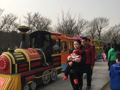 -秀丽东方