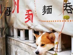 -小梁哥云吞面(黄贝岭店)