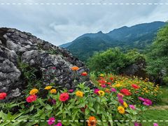 -龙苍沟森林公园