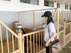 -爱马仕 HERMES(上海ifc商场店)