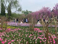 -石家庄市植物园