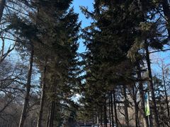 -长春市南湖公园