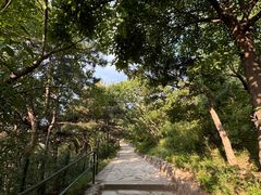 -香山公园