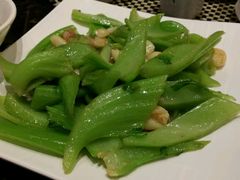 android_upload_pic-新兴·金羊座·粤菜点心(乐峰店)