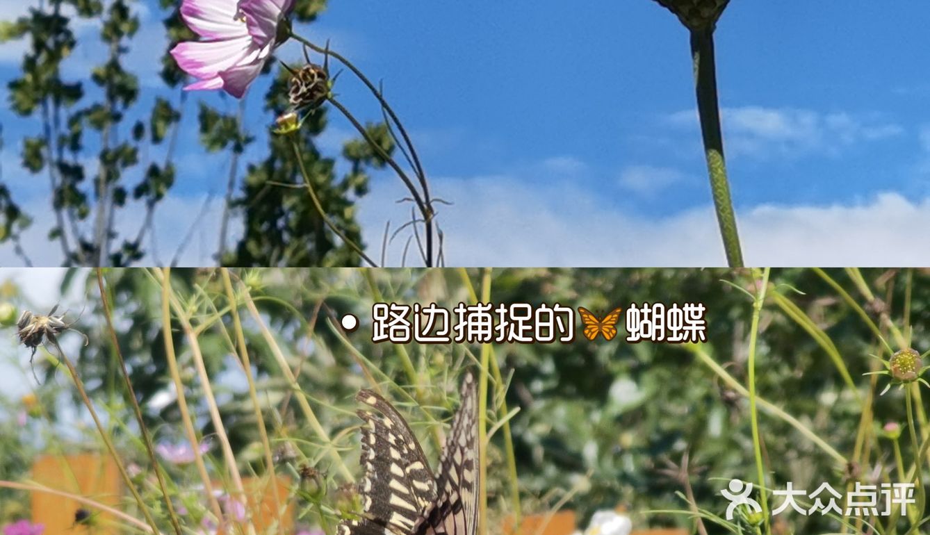 京郊游‖ 密云行